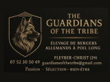 Of Guardians Of The Tribe