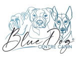Blue Dog 58