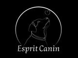 Esprit Canin 51