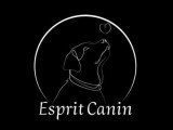 Esprit Canin 51