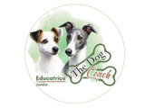 The Dog Coach