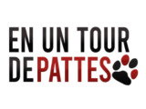 En Un Tour De Pattes