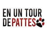 En Un Tour De Pattes