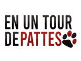 En Un Tour De Pattes
