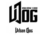 Urban Dog