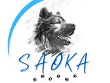 Saoka