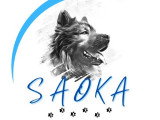 Saoka