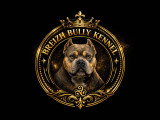 Breizh Bully Kennel