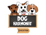 Dog Harmonie