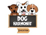Dog Harmonie