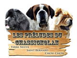 Des Préludes Du Chassignolan