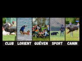 Club Lorient Qu&eacute;ven Sport Canin