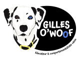 Gilles Owoof