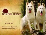 Du Bois des Ternes
