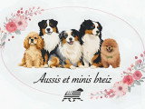 Aussis & Minis Breiz