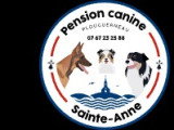 Pension Canine Sainte-Anne