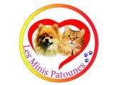 Les Minis Patounes