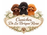 De la Brique Rose