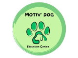 Motiv' Dog