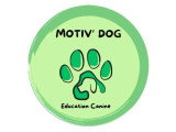 Motiv' Dog