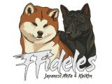 Des Fidèles Akita Ken