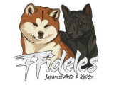 Des Fidèles Akita Ken