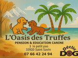 L'Oasis des Truffes