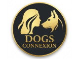 Dogs Connexion