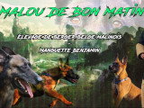 Malou de Bon Matin