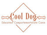 Cool Dog
