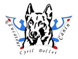 Cyril Dollet 
