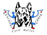 Cyril Dollet 