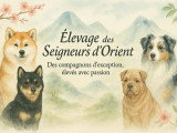 Des Seigneurs d'Orient