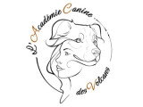 L’Académie Canine des Volcans