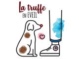 La truffe en éveil