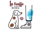 La truffe en éveil