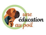 Une éducation au poil
