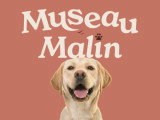Museau Malain