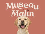 Museau Malain