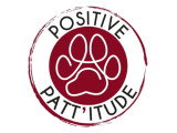 Positive Patt'itude