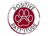Positive Patt'itude