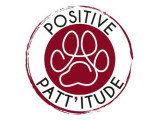 Positive Patt'itude