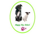 Happy Dog School 