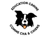 Comme Cha & Chiens