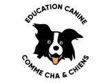 Comme Cha & Chiens