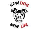 New Dog New Life