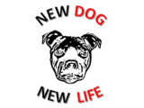 New Dog New Life