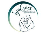 Syncrocs