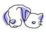 Catnidélia