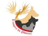 De l'Empire du Phoenix